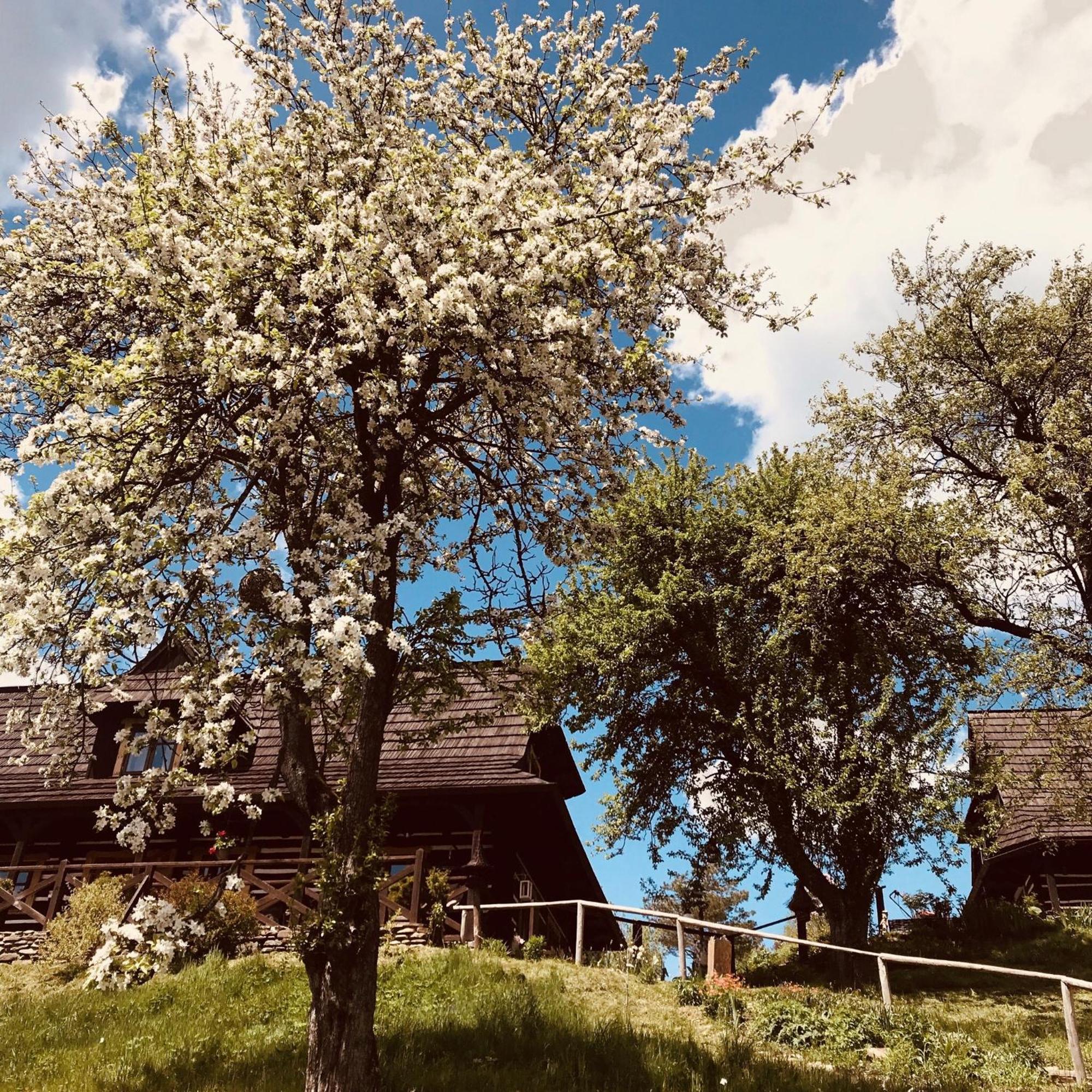 Maciejewka Villa Zahoczewie Екстериор снимка