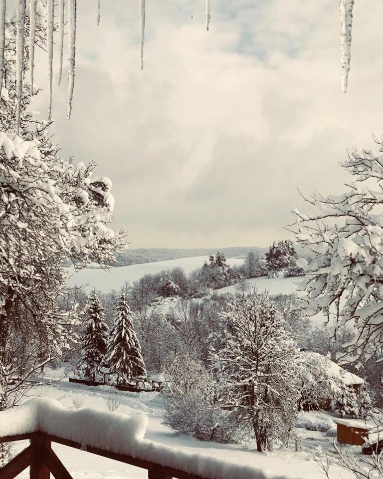 Maciejewka Villa Zahoczewie Екстериор снимка