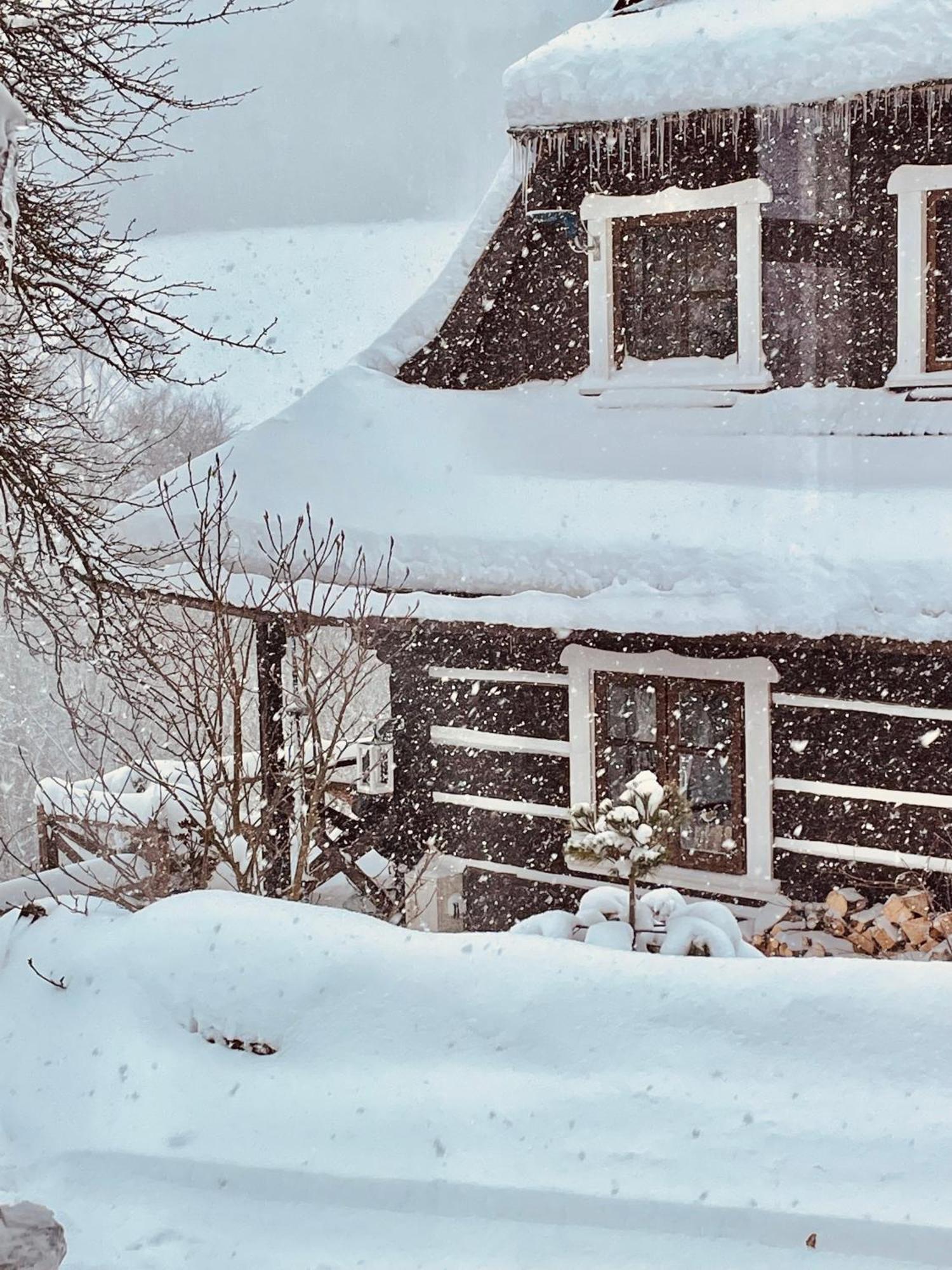 Maciejewka Villa Zahoczewie Екстериор снимка
