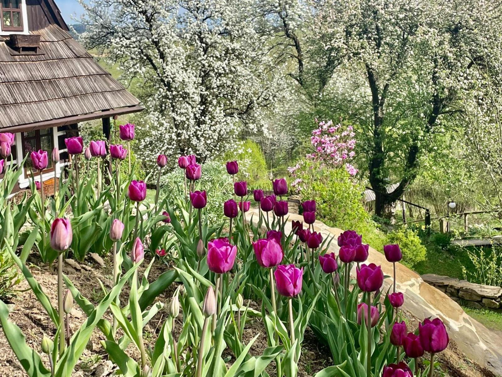 Maciejewka Villa Zahoczewie Екстериор снимка